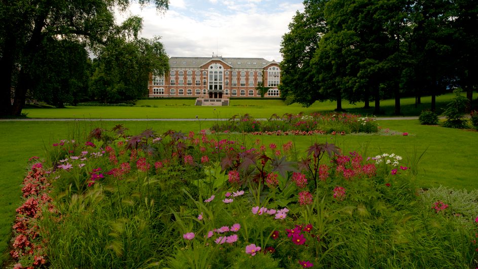 Grønt parkområde. Blomsterbed i forgrunnen, flott gammal skulerbygning og tre i bakgrunnen. Foto.