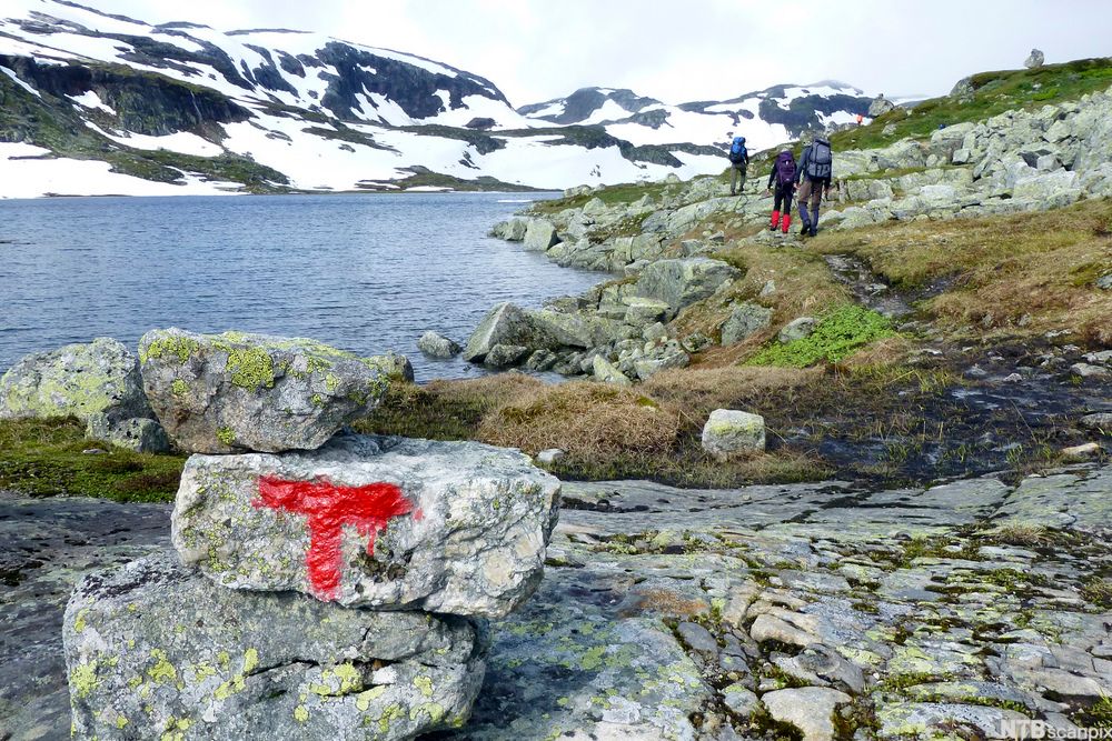 Tre personer går på en sti i norsk fjellandskap. En stor rød T er malt på en stein fremst i bildet. Foto.