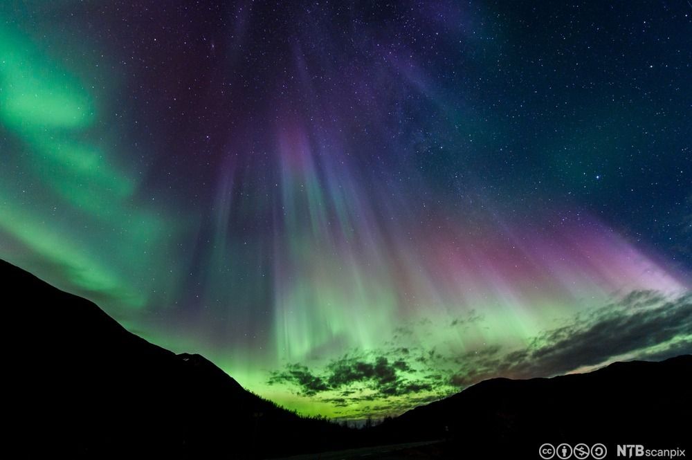 Goeksegh buelieh. Guvvie.