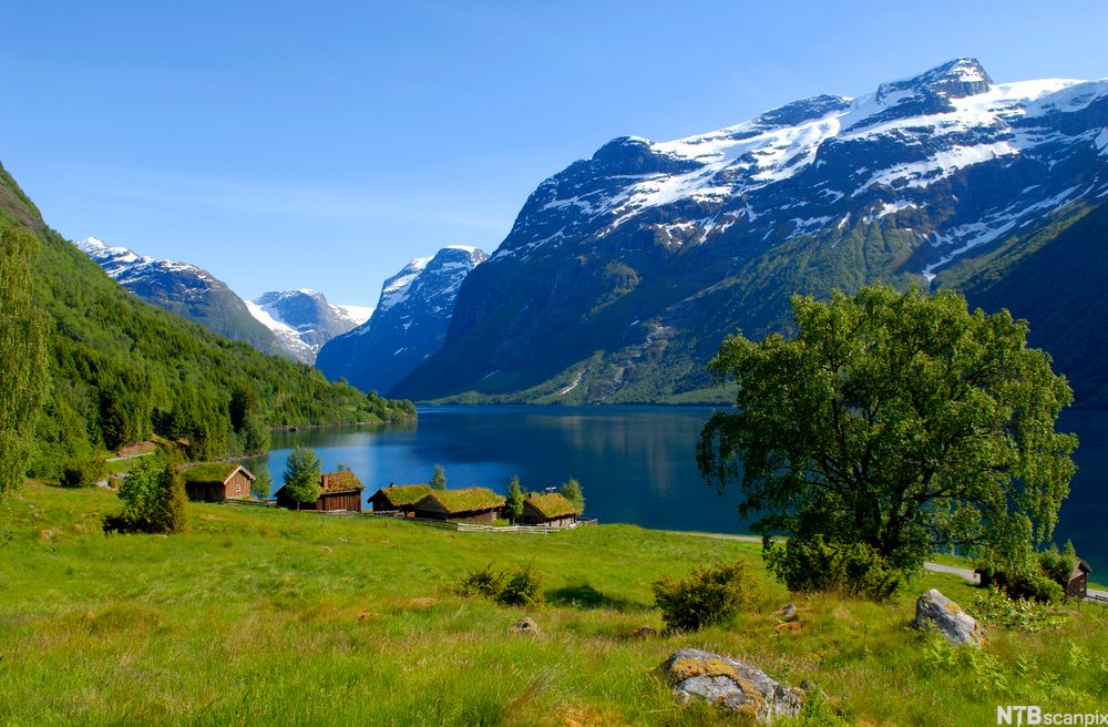 En liten klynge hus med torvtak ligger ved bredden av en stor innsjø. Det er blå himmel, grønn og frodig natur, blikkstille vann og store, snøkledde fjell i bakgrunnen. Foto.