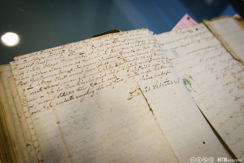 Side fra Camilla Colletts dagbok. Foto. 