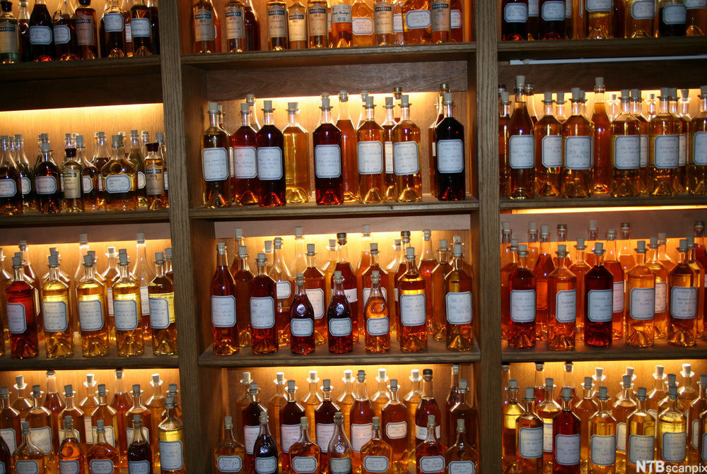 Konjakkflasker som står til utstilling i hyller. Foto.