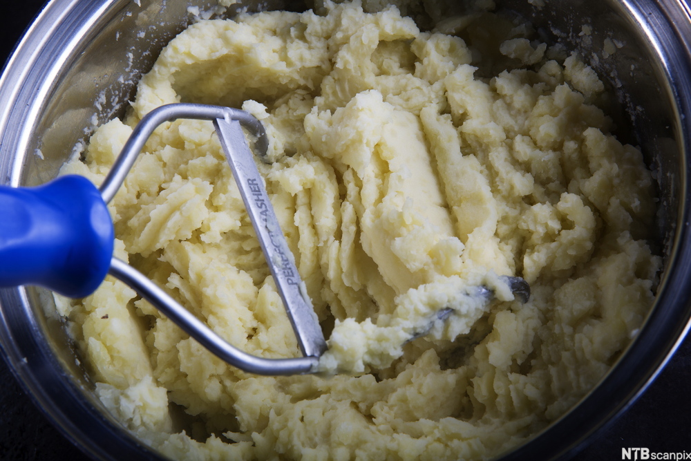 Mosing av potet i ein bolle. Foto.