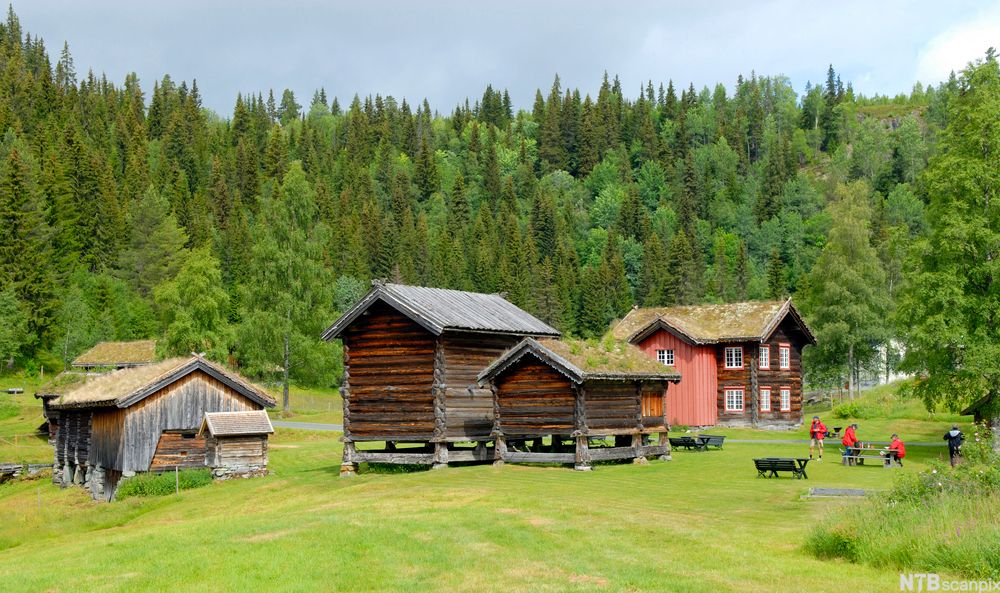 Gammelt gårdstun på Vest-Telemark museum. Foto.