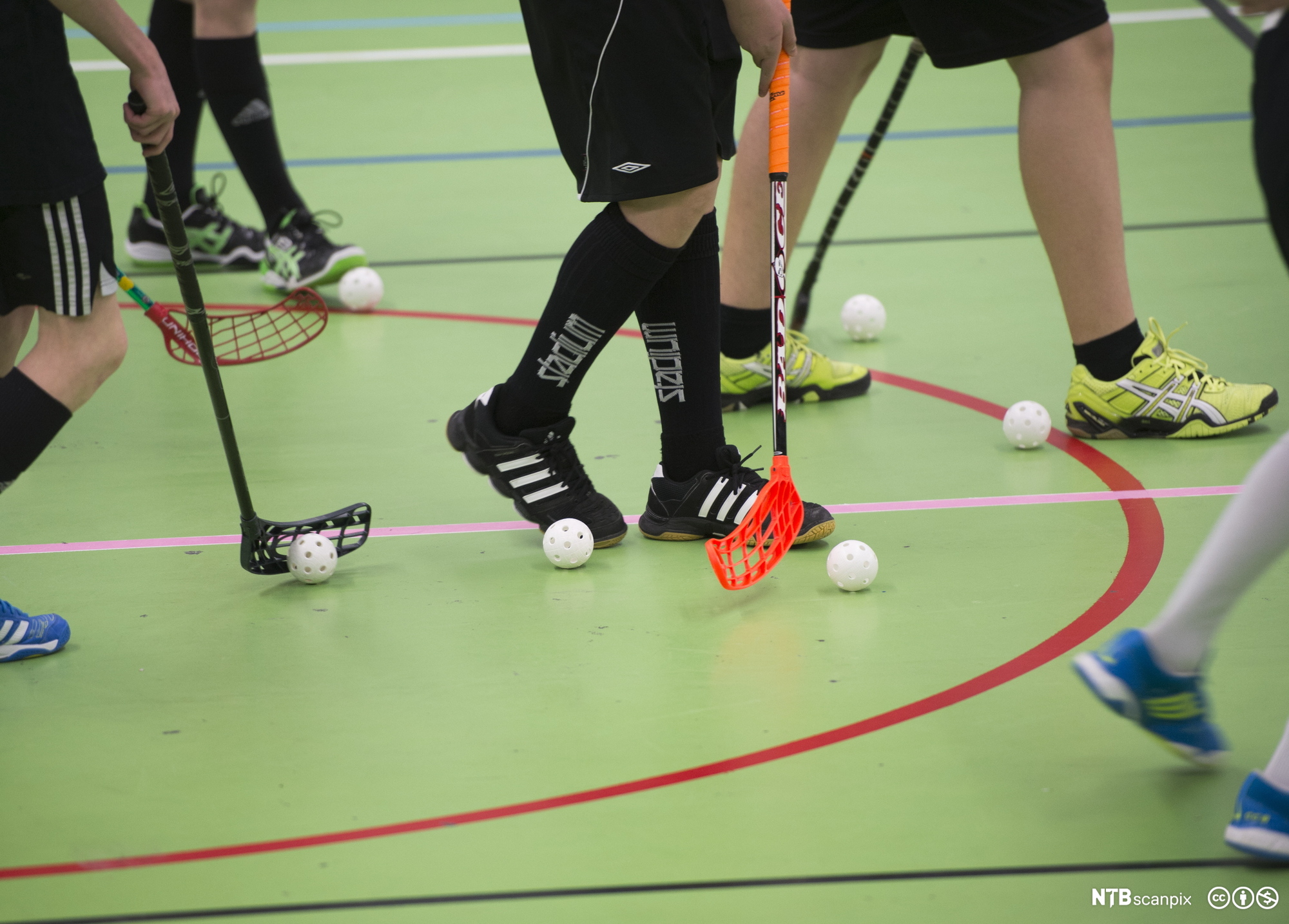 Mange innebandyspillere i en gymsal. Nærbilde av føtter, bandykøller og baller. Foto.