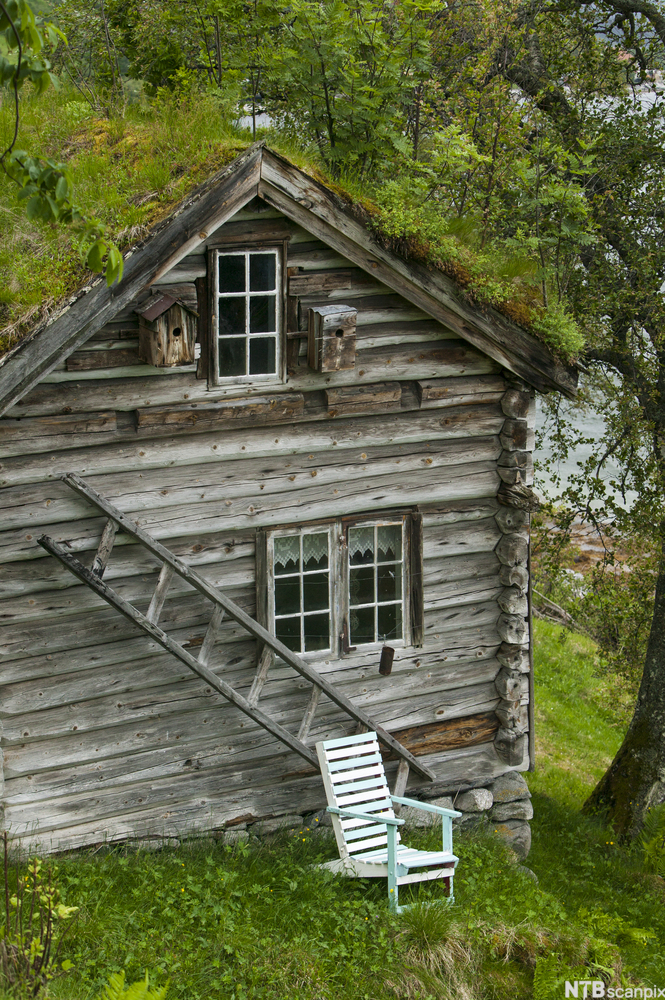Gammelt trehus. Foto. 