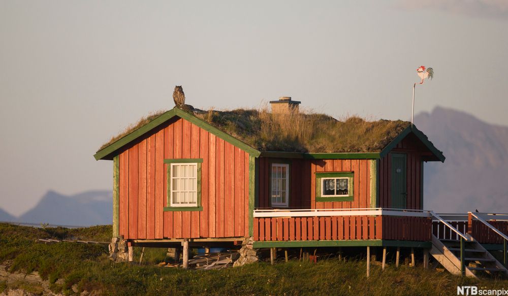 Hytte i kystlandskap. Foto. 