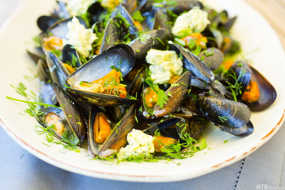 Kvitlauks- og kvitvinsdampa blåskjel. Foto.