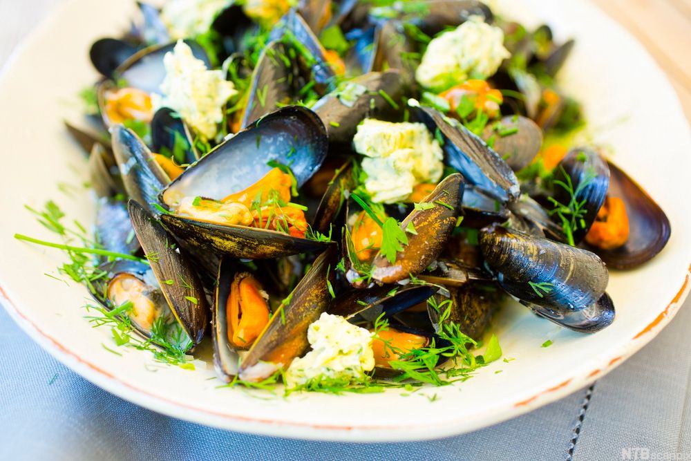 Hvitløks-og hvitvinsdampede blåskjell på en tallerken. Foto.