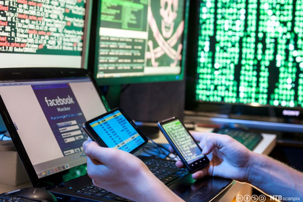 En hacker sitter foran en  laptop med en mobiltelefon i hver hånd. På skrivebordet står tre skjermer med tall, koder og et piratflagg. Laptopen viser nettsiden «Facebook Hacker». Foto. 
