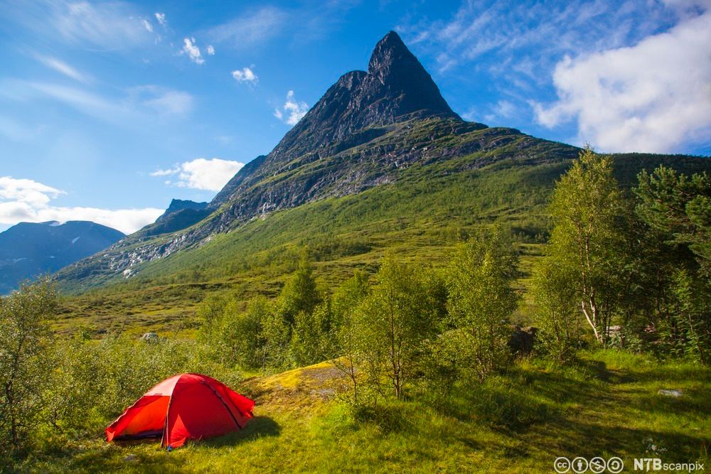 Rødt telt under spiss fjelltopp. Foto