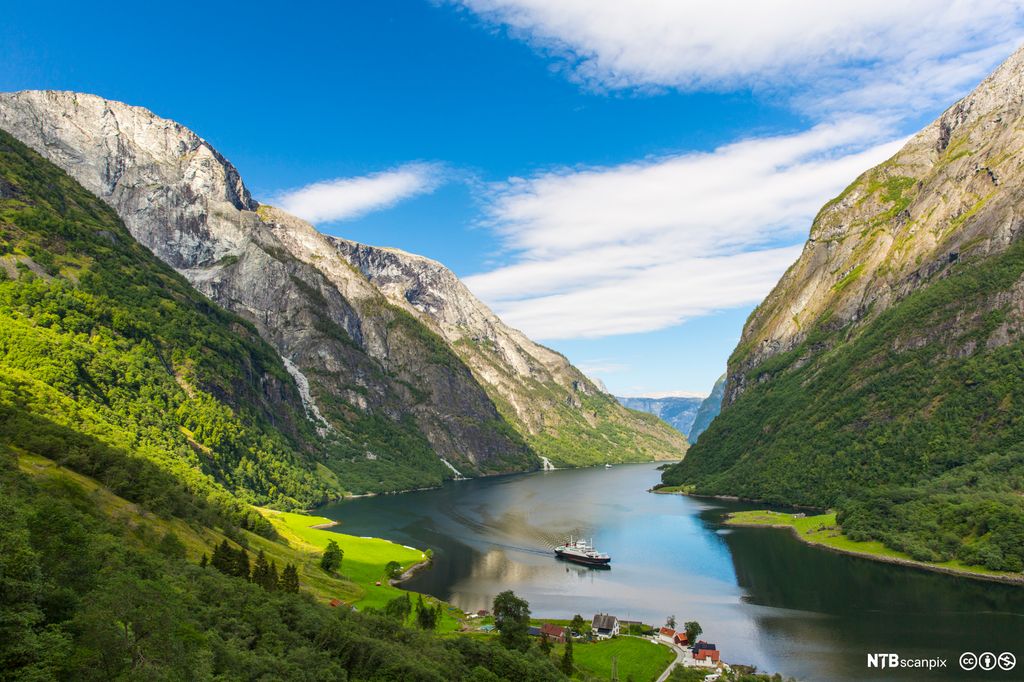 Dyp fjord med skogkledde fjell på hver side. Ned mot fjorden er det noen hus, og på fjorden er ei bilferge. Foto.