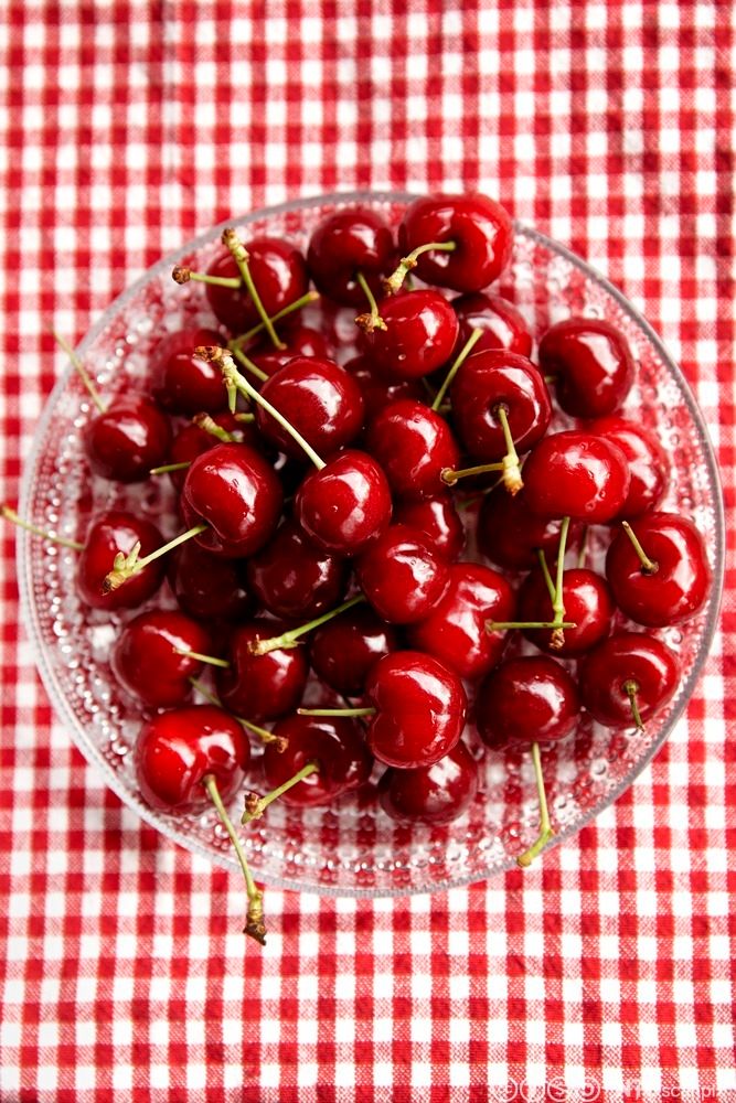 En skål med nyplukkede moreller. Foto.