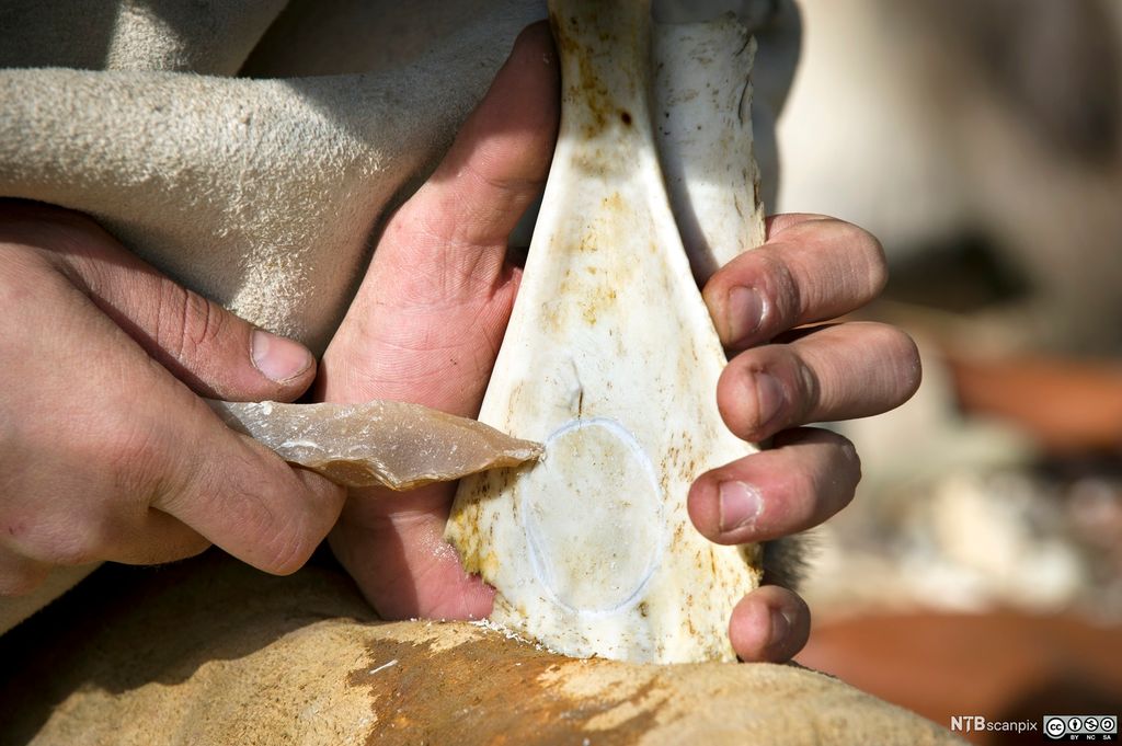 Nærbilde av en hånd som holder et verktøy av flint. Verktøyet har skåret inn en sirkel i et stykke bein. Foto. 