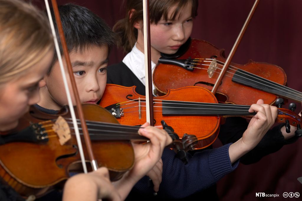 Nærbilde av tre små fiolinister som konsentrerer seg under en konsert. Foto.
