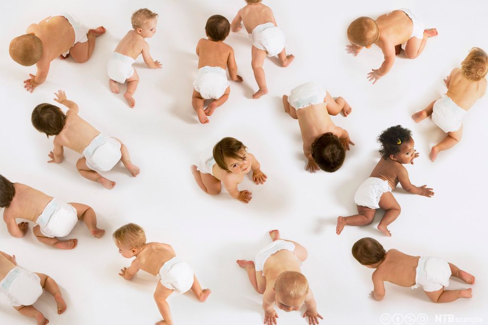 Småbarn som krabber på gulvet. Foto