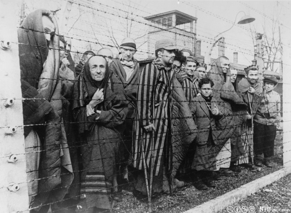 Fanger i Auschwitz ved frigjøringen i 1945. Foto.