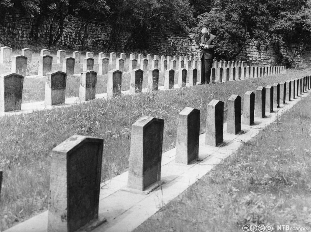 Rader med æresgraver for jødiske soldatar som er falne i første verdskrig. Foto.