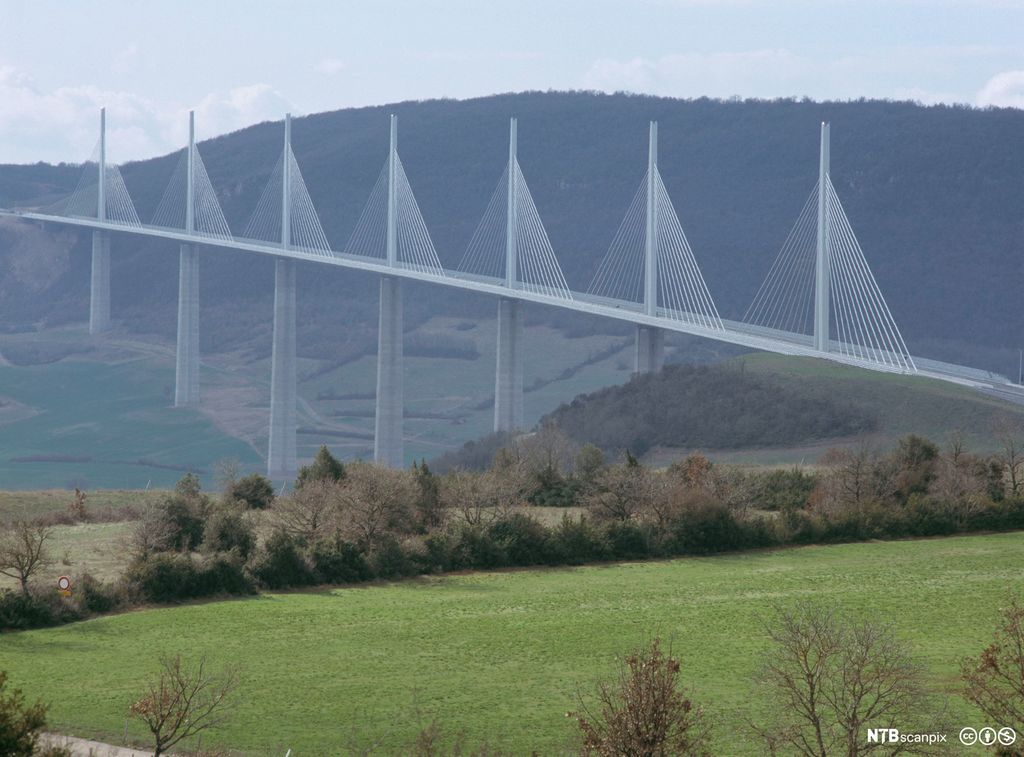 Grønt landskap med skog og enger. Ei skråkabelbru tvers over en dal. Brua har sju pilarer, og kabler plassert symmetrisk på begge sider av hver pilar. Disse danner sju triangler. Foto.