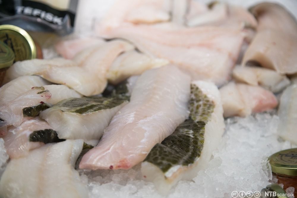 Torskefilet med skinn på is. Foto.