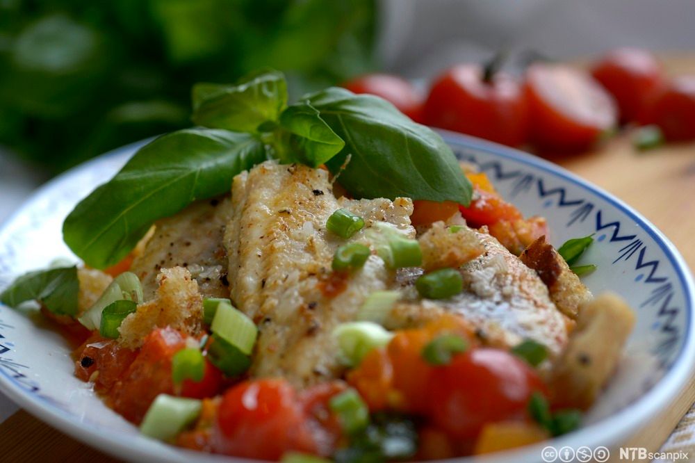 Stekt abborfilet med tomater, purreløk og basilikum, anrettet på tallerken. Foto.