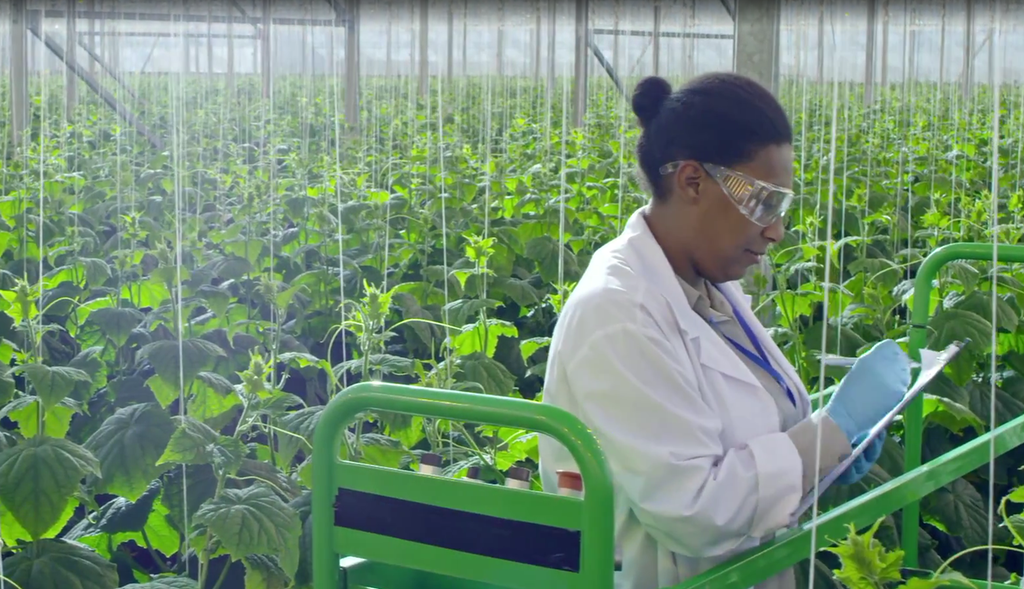 Dutki čuožžu šaddovisttis šattuid gaskkas ja čállá báhpirii. Govva.