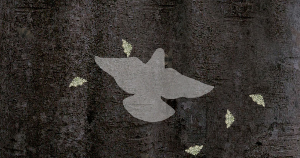 Lyse silhuetter av rovfugl og møll på mørk bakgrunn. Foto.