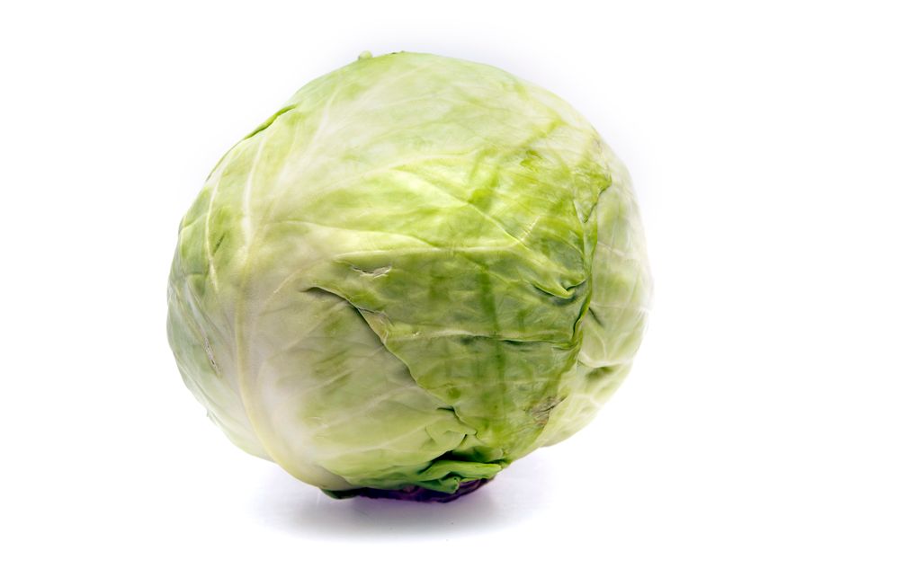 Hodekål. Foto.
