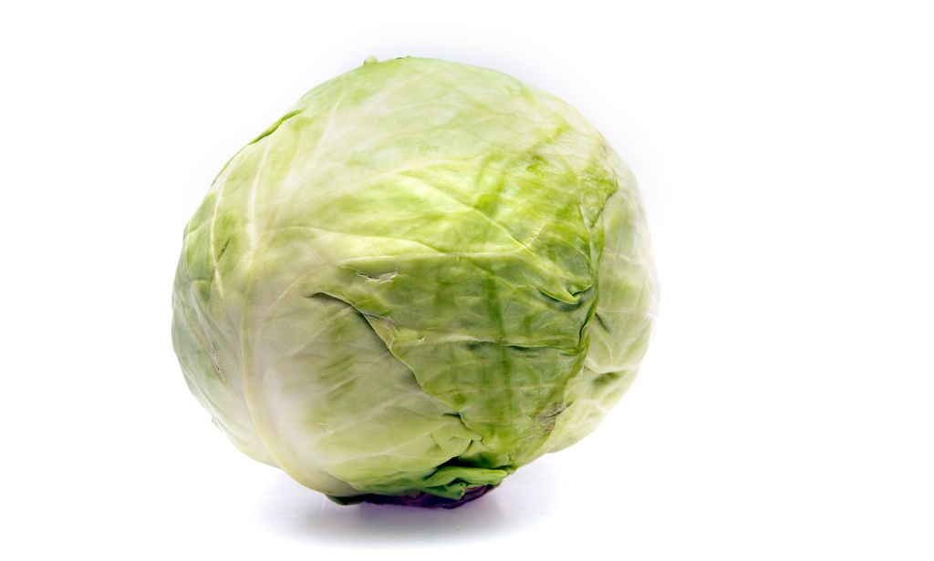 Hovudkål. Foto.
