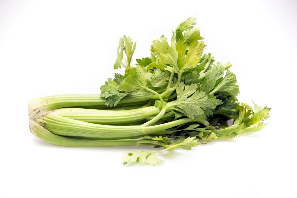 Bunt med stangselleri. Foto.