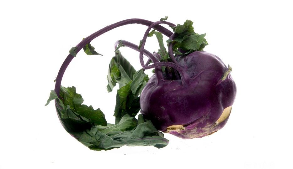Lilla/blåraud kuleforma grønsak med fleire tjukke stenglar med grøne blad. Foto.