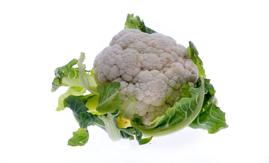 Blomkål. Foto.