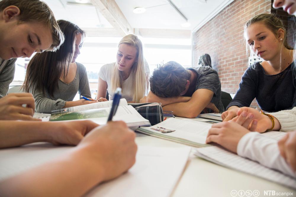 Elevar rundt ei bord har gruppearbeid. Foto.