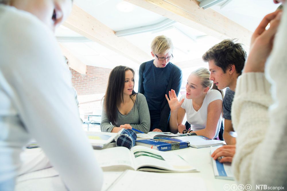 Elever diskuterer i gruppe. Foto.