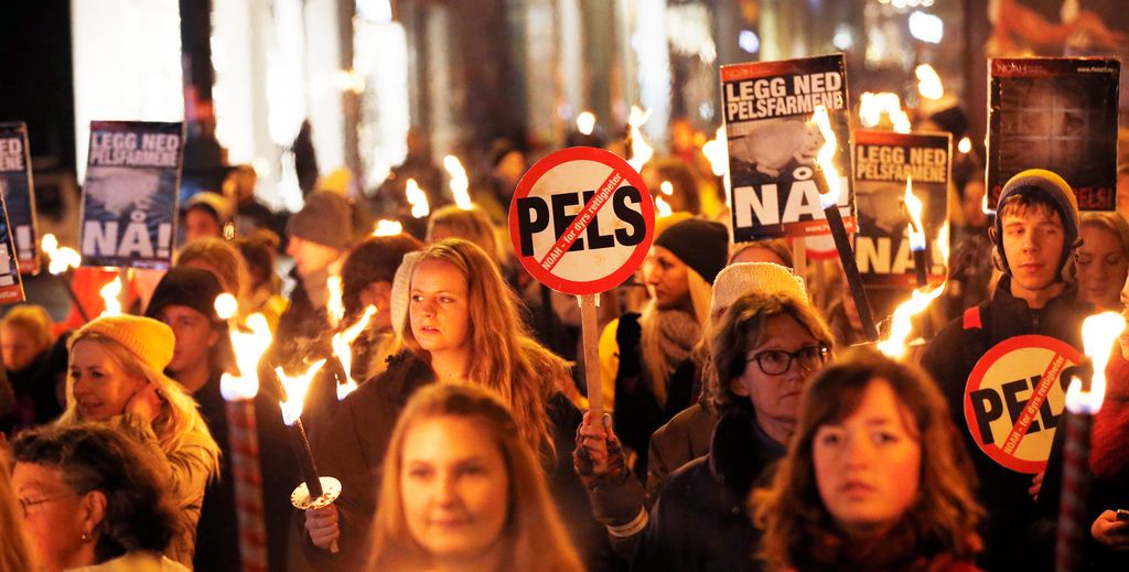 Personer i fakkeltog med plakater med negative slagord om pelsindustri. Foto.