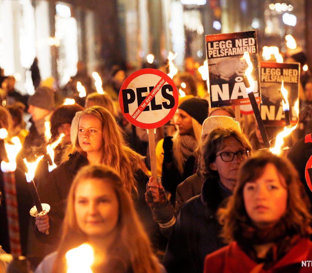 Mange mennesker med fakler og plakater med teksten: "Legg ned pelsfarmene nå!". Foto.