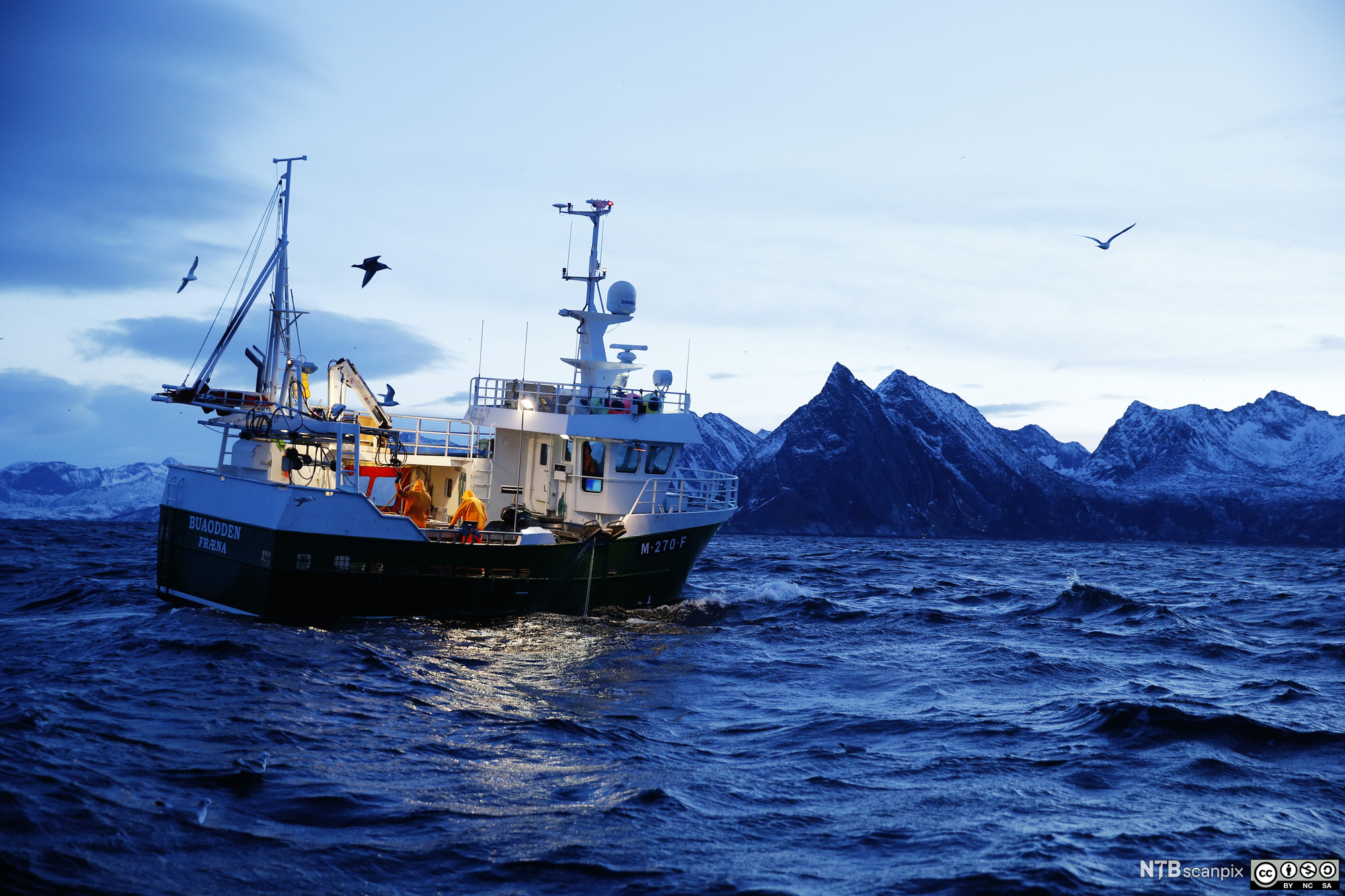 Fiskebåt på havet. Spisse fjell i bakgrunnen. Foto.