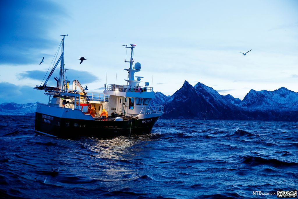 Fiskebåt på feltet. Foto.