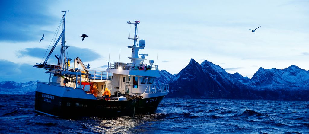 Fiskebåt på feltet. Foto.
