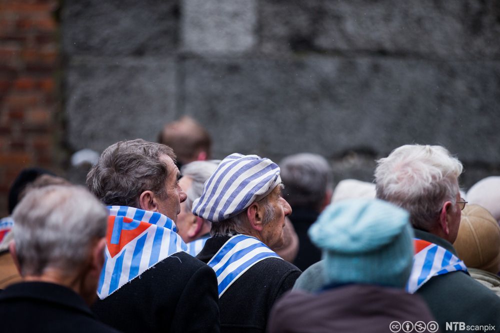 70-årsjubileet for frigjøringen av Auschwitz. Foto