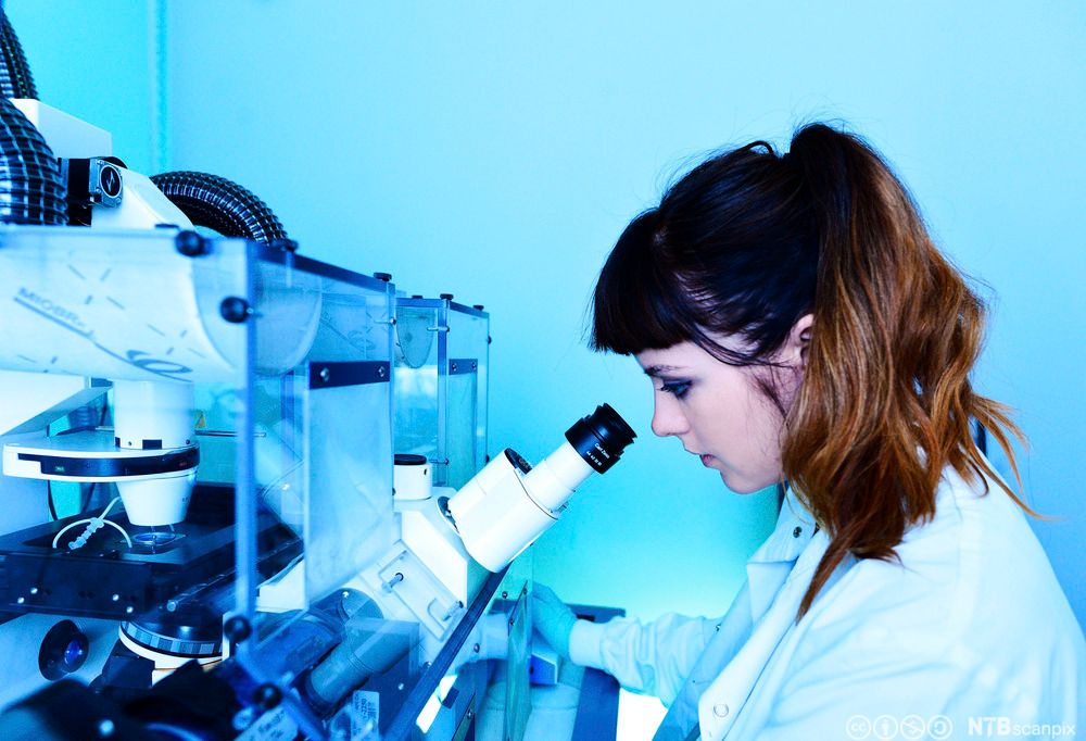 Forsker med avansert mikroskop. Foto.