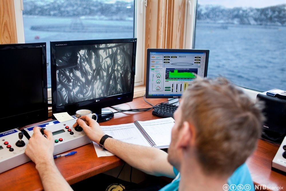 En mann foran flere skjermer driver overvåkning på oppdrettsanlegg. Den ene skjermen er svart, på den andre ser vi en fiskestim under vann og på den tredje er det ulike grafer og målinger. Ei oppslått skrivebok ligger på pulten. Vi ser snøkledde fjell og merder i sjøen gjennom vinduet. Foto.