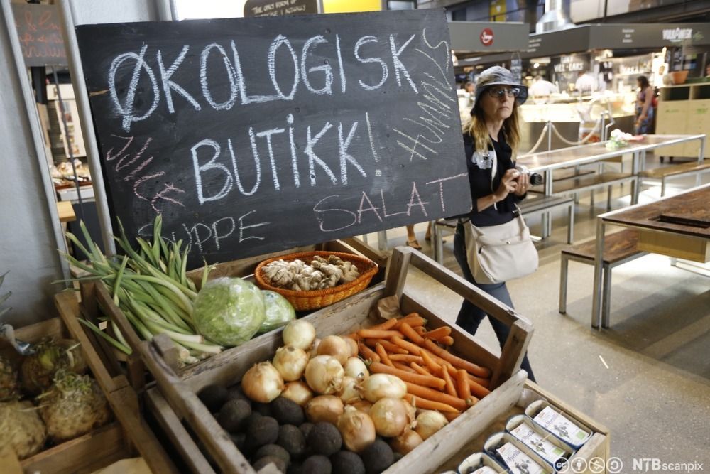 Grønnsaker i trekasser foran skilt med påskriften Økologisk butikk. Foto.