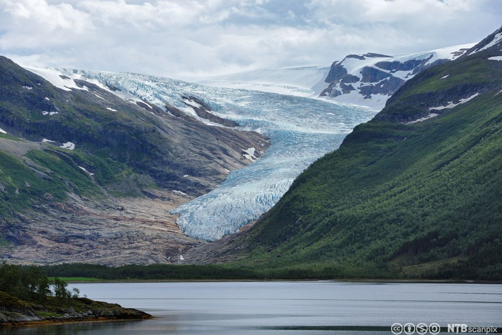 En arm av en isbre som strekker seg nedover langs en fjellside, ned mot fjorden.  Toppen av fjellet er snøkledd, mens fjellsidene nedover har vegetasjon. Foto.