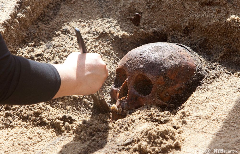 Funn av hodeskalle under arkeologiske utgravninger. Foto. 