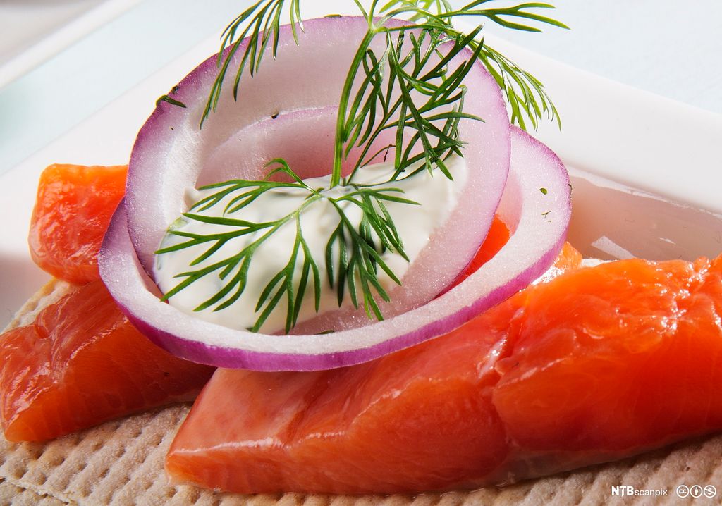 Rakfisk med rå rødløk, rømme og dill på flatbrød. Foto.