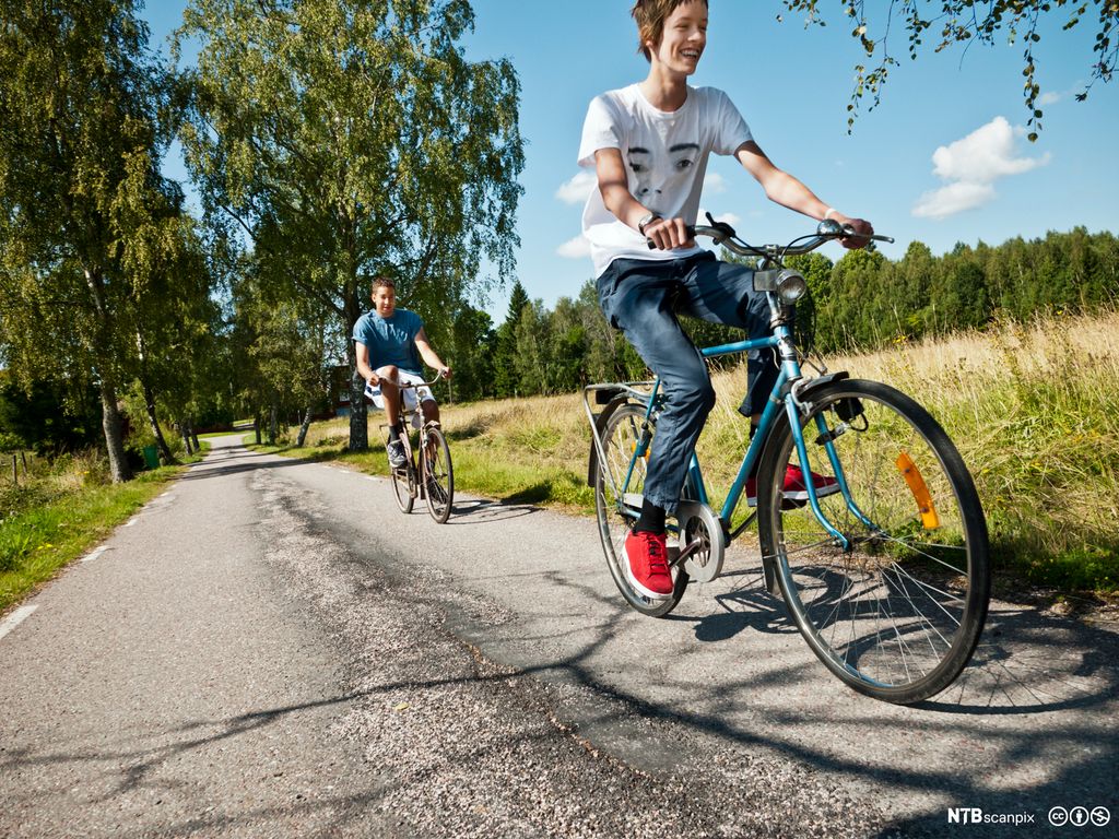 To unge gutter sykler langs enga inne i en skog. Bilde.