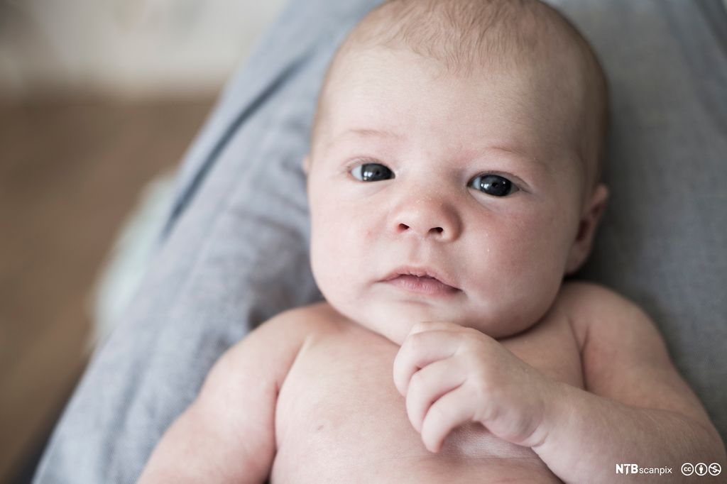 Spedbarn uten klær ser i kameraet. Foto.