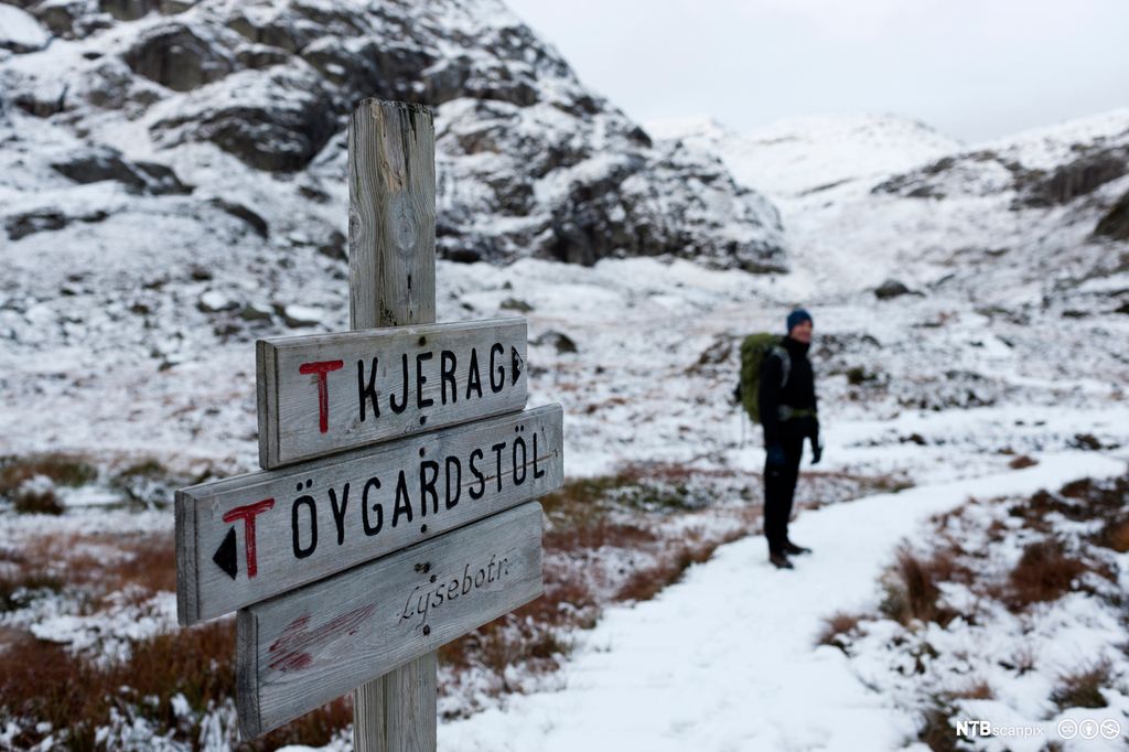 Tursti på fjellet med veiskilt. Foto. 