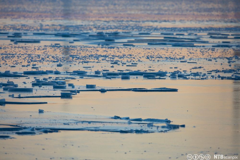 Delvis islagt vann. Foto.